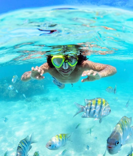 Maragogi Tour - Private Service