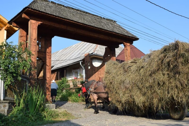 Maramures Day Tour (From Cluj-Napoca) - Important Information