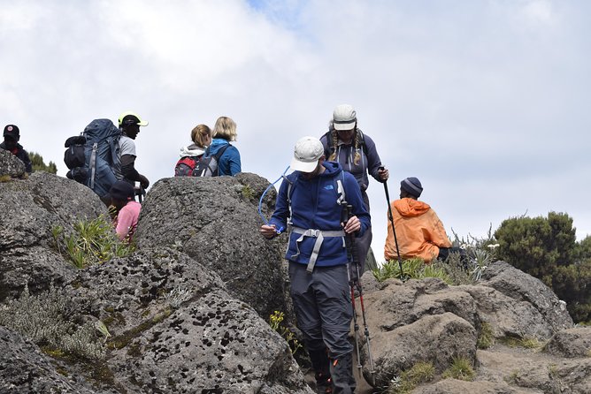 Marangu Route 6 Days 5 Nights/Kilimanjaro Climb - What to Expect