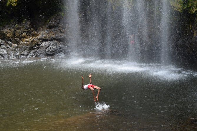 Marangu Waterfall & Coffee Making Cultural Tour | BURIGI CHATO SAFARIS CO LTD - Coffee Cultivation and Preparation