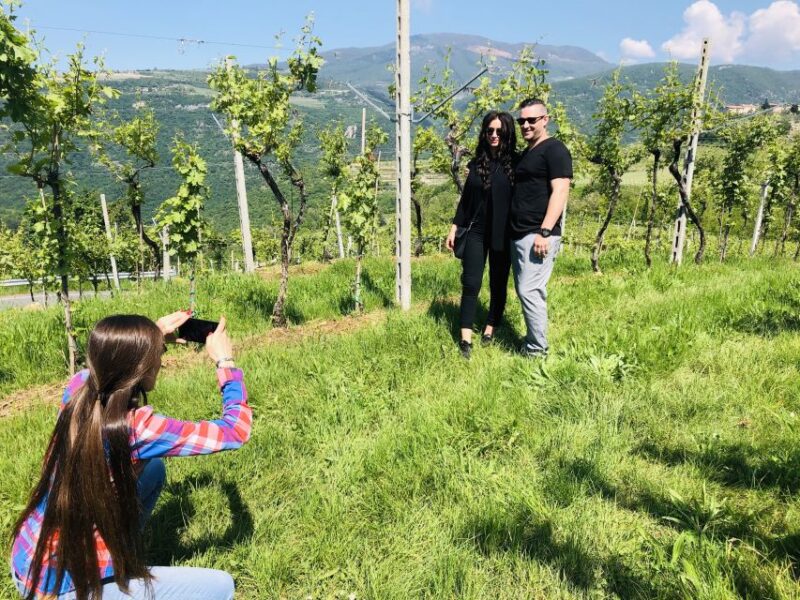 Marano Di Valpolicella: DOP Olive Oil Tasting Experience - Inclusions