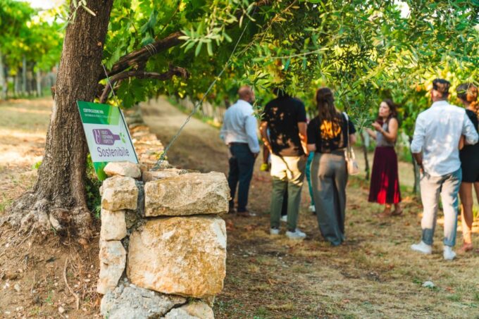 Marano Di Valpolicella: Venetian Villa Wine Tasting Tour - Pricing and Cancellation Policy