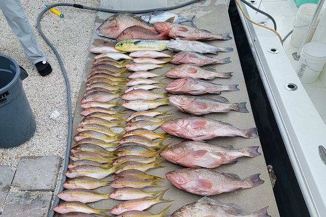 Marathon Florida Keys Fishing Experience - Booking and Lowest Price Guarantee