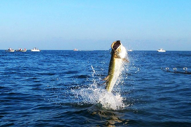 Marathon Tarpon Fishing Charter - Overview of the Charter