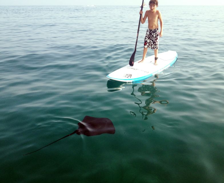 Marbella Bay Stand Up Paddleboarding Tour - Recap