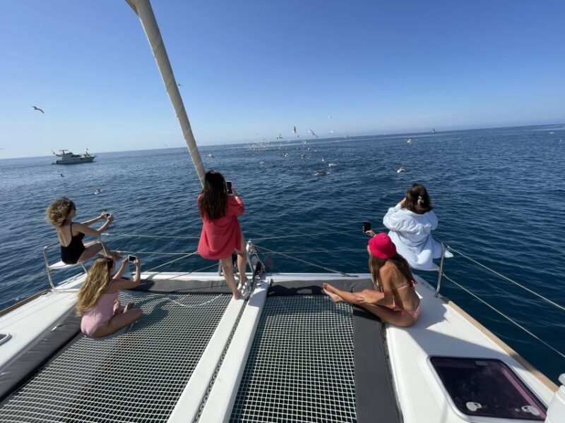 Marbella: Catamaran Tour With Dolphin Watching - Key Points