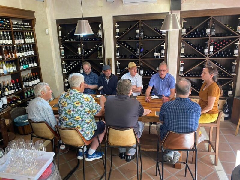 Marbella: City Tour Tapas Tour - Wine Tasting - Olive Oil Tasting - Inclusions