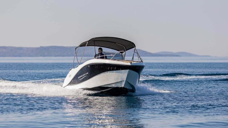Marbella: Dolphin Watching Boat Tour - Booking Information