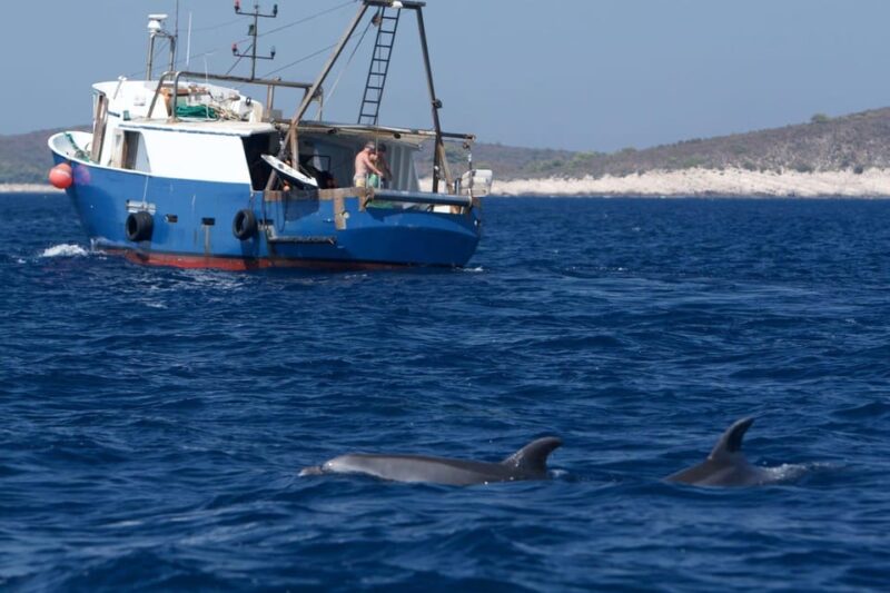 Marbella: Dolphin Watching Boat Tour - Inclusions
