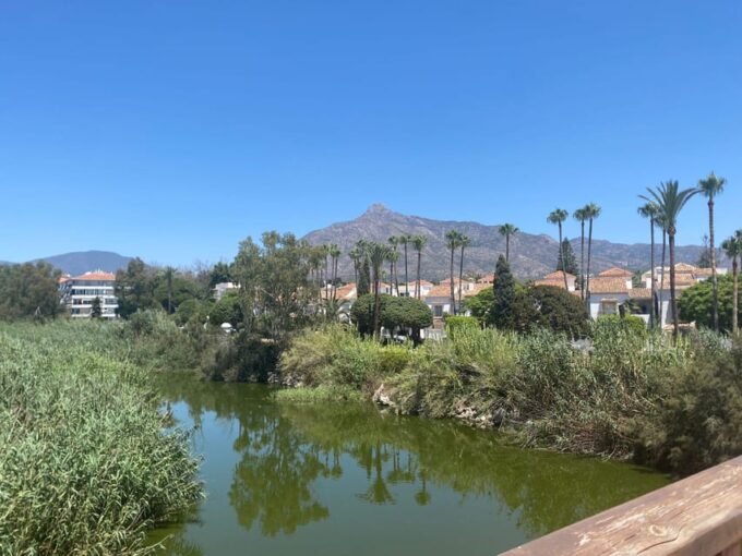 Marbella: Exclusive Bike Tour From Marbella to Puerto Banus - Tour Languages