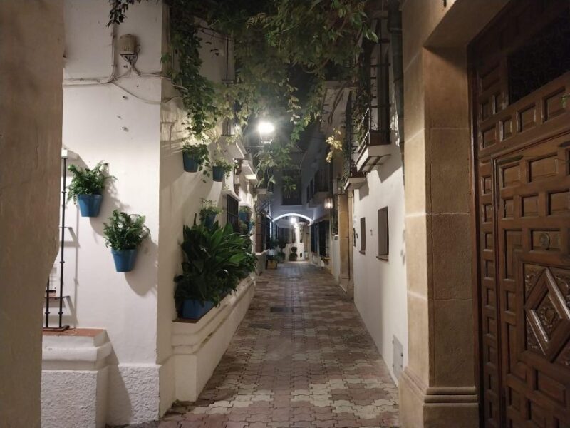 Marbella: Food and History Tour - Key Points