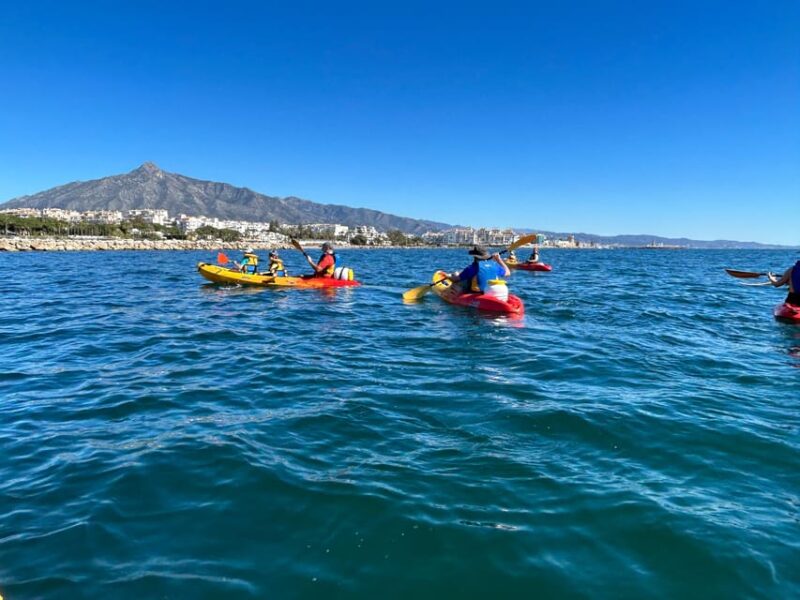 Marbella: Guided Kayak Tour in Puerto Banús - Customer Feedback and Ratings