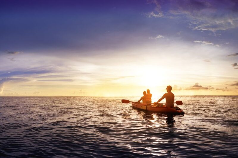 Marbella: Kayak Tour - Inclusions and Exclusions