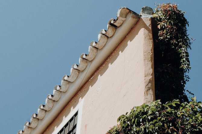 Marbella Like a Local: Customized Private Tour - Insights and Tips for Vacation
