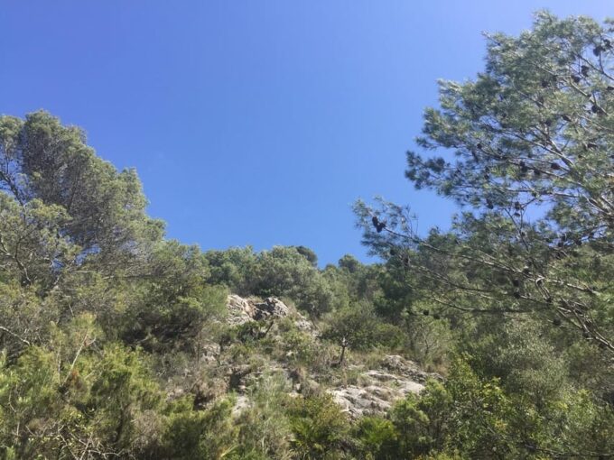 Marbella Mountain Hike - Frequently Asked Questions