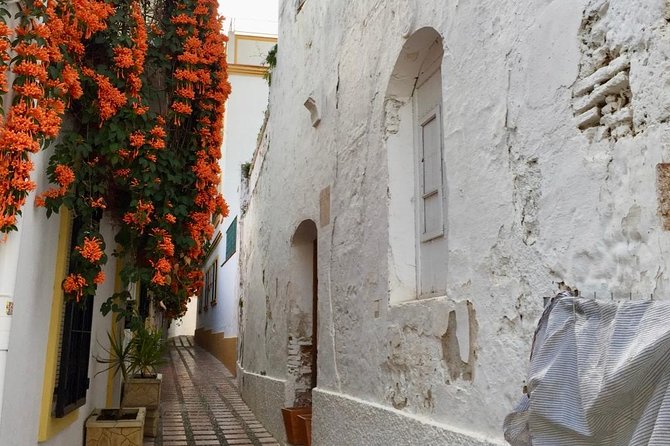 Marbella Old Town Group Tour With a True Local - End Point