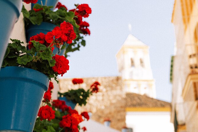 Marbella Old Town: Private Walking Tour - Exploring Beyond the Tour