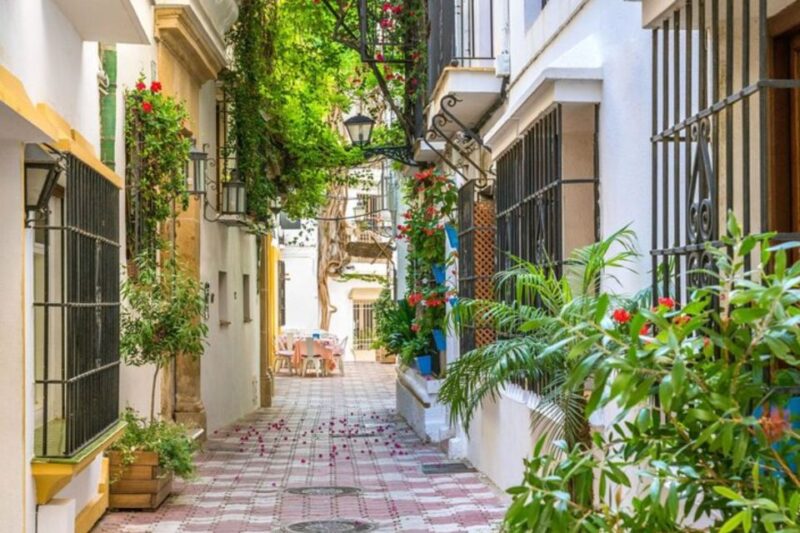 Marbella: Private Custom Tour With a Local Guide - Experience and Highlights