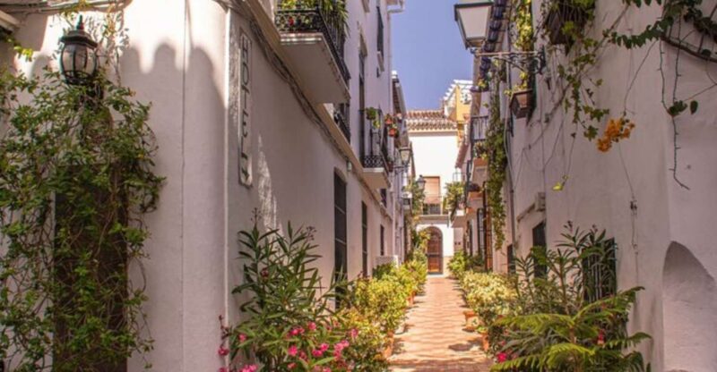 Marbella: Private Customizable Walking Tour With Guide - Key Points