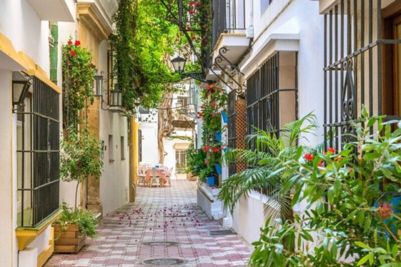 Marbella: Private Customizable Walking Tour With Guide - Exclusions