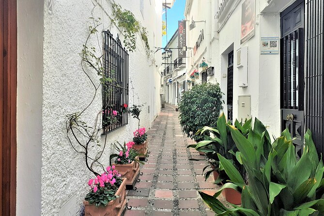 Marbella: Private Walking Tour - Surrealist Statues by Dali