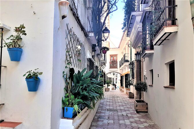 Marbella: Private Walking Tour - Tour Features and Accessibility