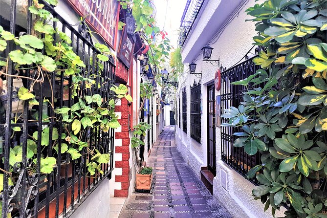 Marbella: Private Walking Tour - Meeting and End Points