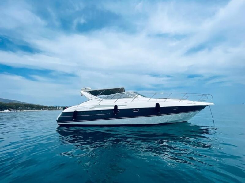 Marbella: Puerto Banús 2-Hour Dolphin Watching Cruise - Customer Feedback