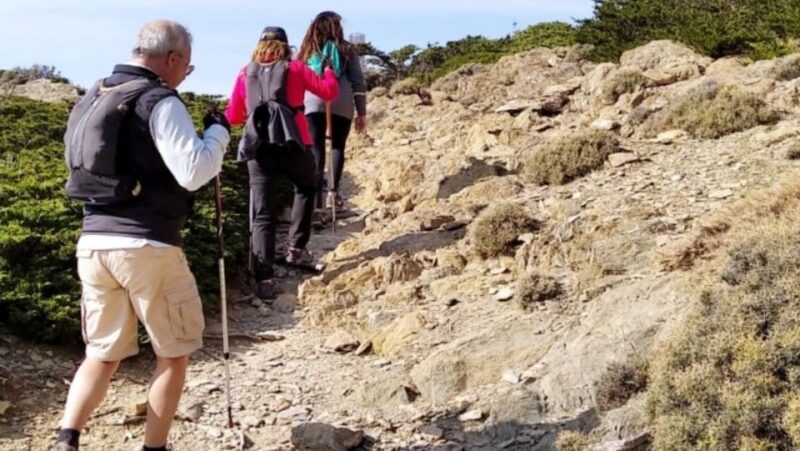 Marbella: Sierra De Las Nieves National Park Hiking Day Trip - Key Points