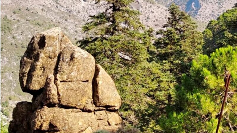 Marbella: Sierra De Las Nieves National Park Hiking Day Trip - Activity Overview