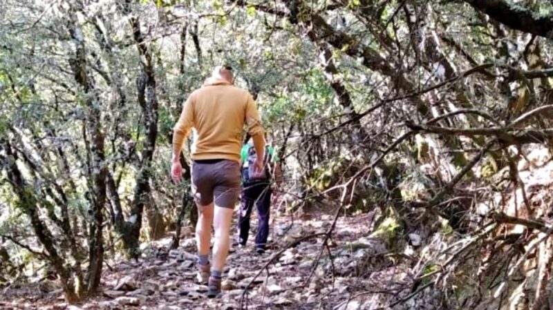 Marbella: Sierra De Las Nieves National Park Hiking Day Trip - Highlights of the Hike