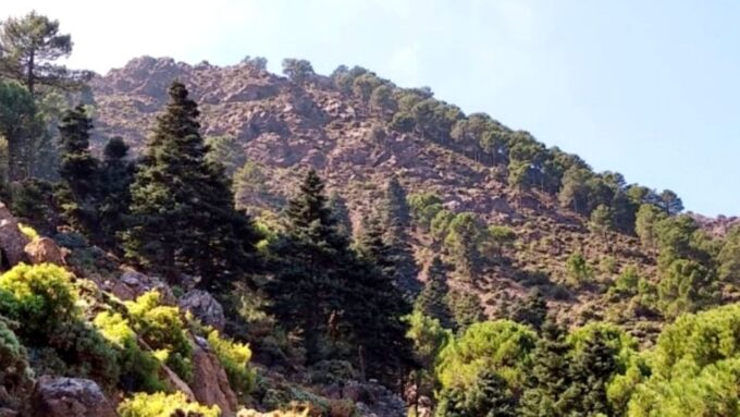 Marbella: Sierra De Las Nieves National Park Hiking Day Trip - Frequently Asked Questions