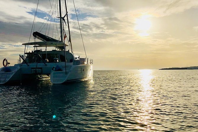 Marbella Small Group Catamaran With Dolphin Watching - Surrounding Scenery and Marine Life