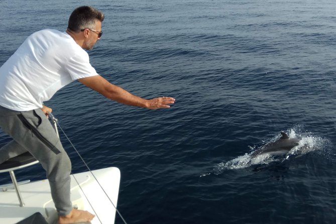 Marbella Small Group Catamaran With Dolphin Watching - Fun Trip for Friends and Family