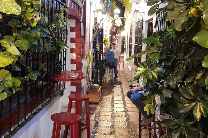 Marbella Tapas Tour - Accessibility Options