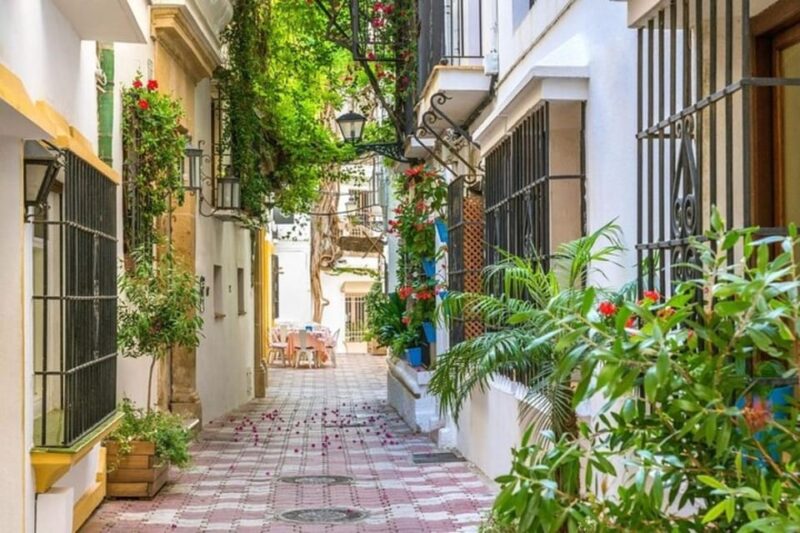 Marbella : Walking Custom Tour With a Local Guide - Accessibility and Languages