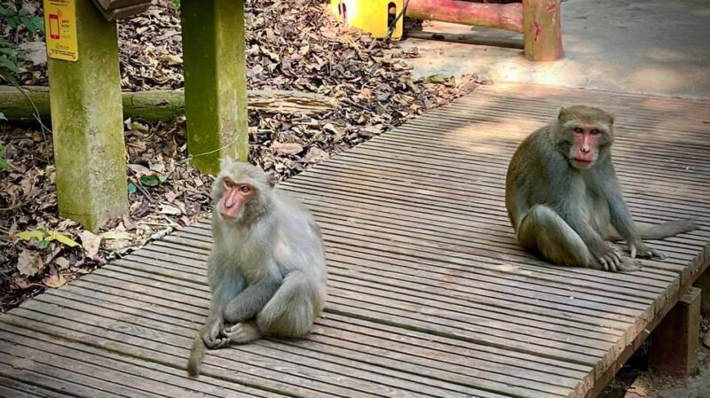 Marble Mountains - Monkey Mountain - Am Phu Cave Sunset Tour - Tour Highlights