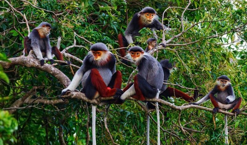 MARBLE MOUNTAINS - MONKEY MOUNTAIN - AM PHU CAVE SUNSET TOUR - Itinerary Details