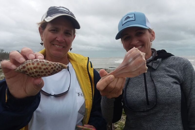 Marco Island: 10,000 Islands Beachcombing Tour by Boat - Discovering the Rare Junonia Shell