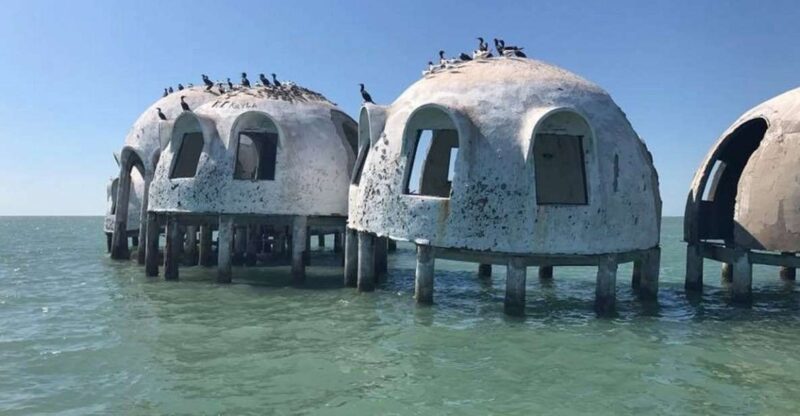 Marco Island: 1Ten Thousand Islands Dolphin & Shelling Tour - Key Points