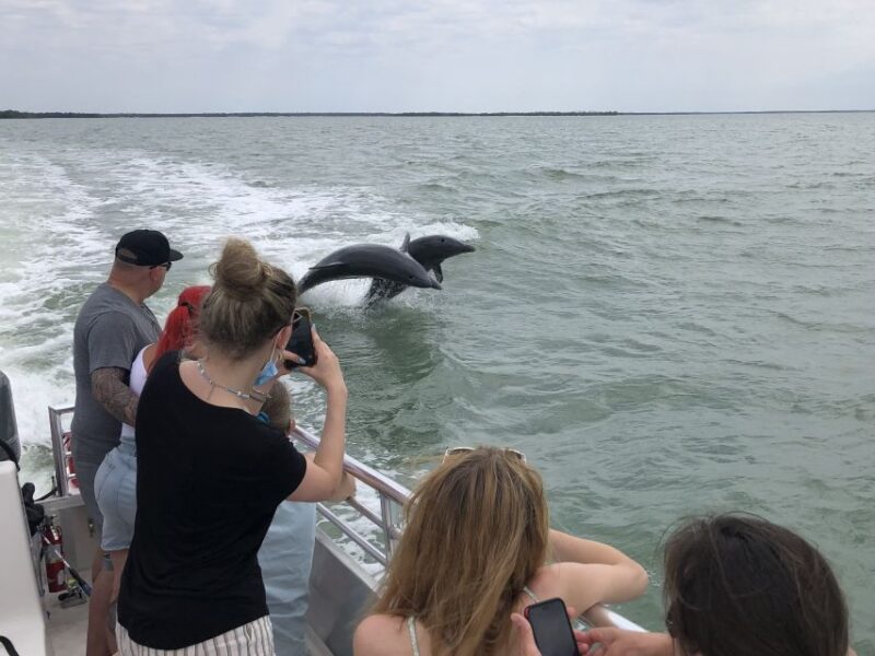 Marco Island: 1Ten Thousand Islands Dolphin & Shelling Tour - Bird Watching