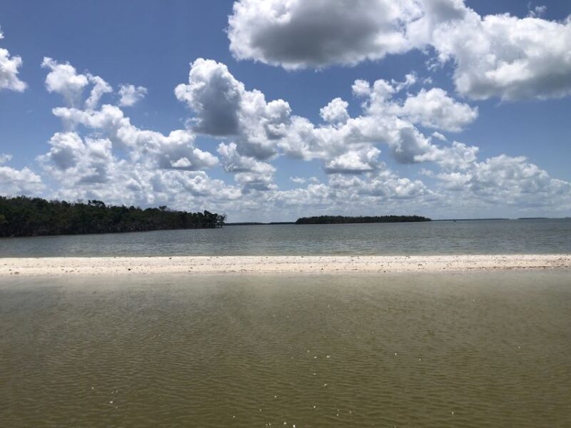 Marco Island: 1Ten Thousand Islands Dolphin & Shelling Tour - Barrier Island Beach