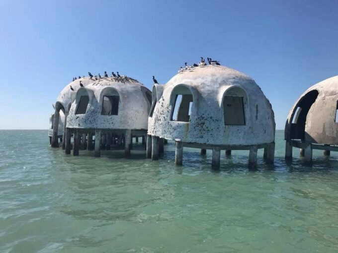 Marco Island: 1Ten Thousand Islands Dolphin & Shelling Tour - Transportation Options