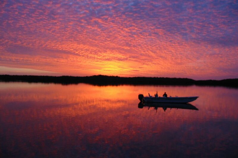 Marco Island: 2-Hour Dolphin, Birding, and Shelling Tour - Tour Customization and Recommendations