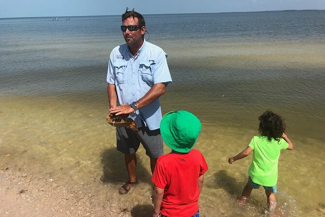 Marco Island: 2-Hour Dolphin, Birding, and Shelling Tour - Frequently Asked Questions