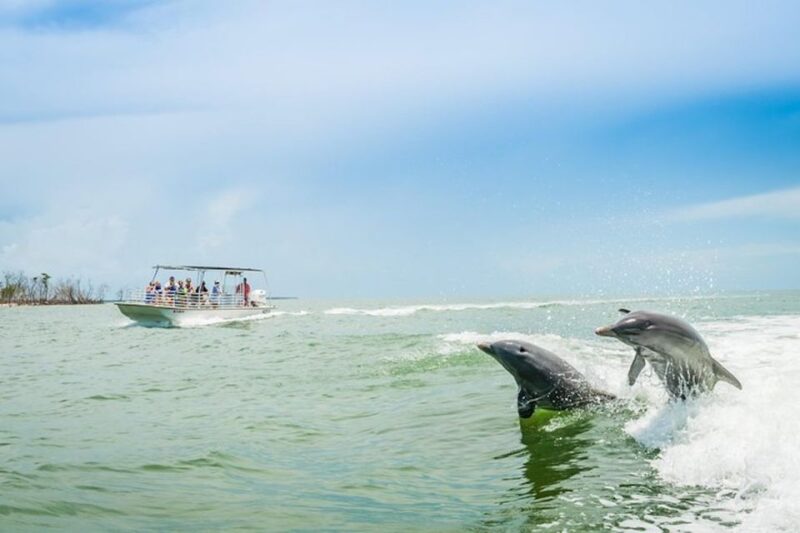 Marco Island: Dolphin-Watching Boat Tour - Tour Overview