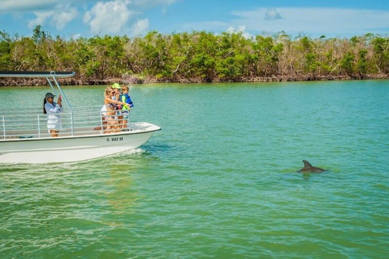 Marco Island: Dolphin-Watching Boat Tour - Group Size and Language