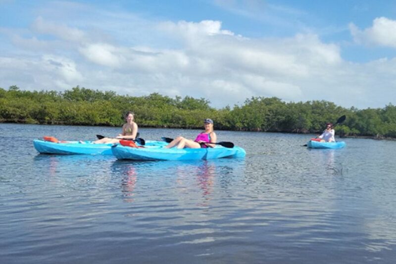 Marco Island: Guided Manatee-Watching Kayaking or SUP Tour - Important Notes