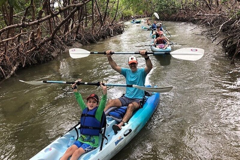 Marco Island: Kayak Mangrove Ecotour in Rookery Bay Reserve - Experience Highlights
