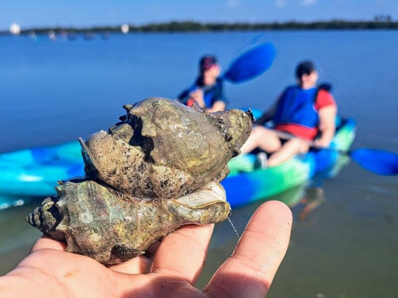 Marco Island: Kayak Mangrove Ecotour in Rookery Bay Reserve - Guided Tour Features